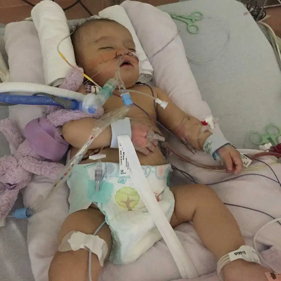 Isla sedated in the ICU with all of the tubes and vacuum connected